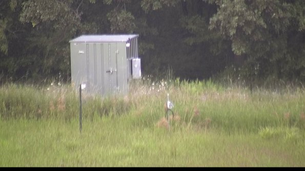 capture-2-23-08-13_19-34-02-81