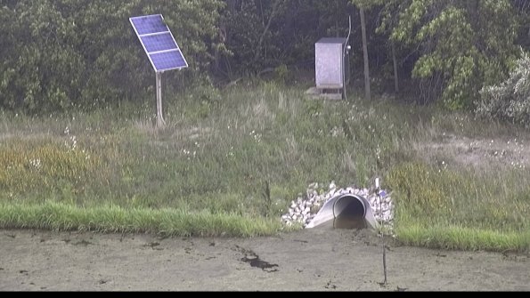 capture-3-23-08-13_15-00-15-34