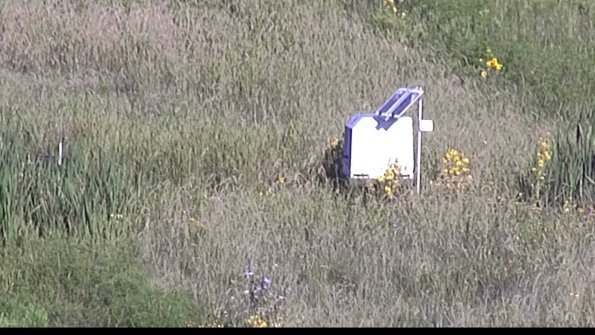 capture-4-23-08-13_08-23-48-03