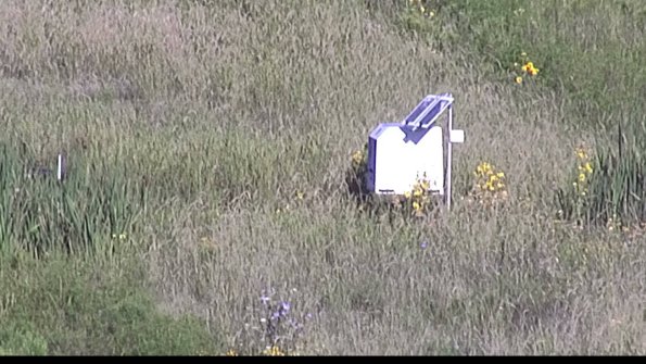 capture-4-23-08-13_08-35-48-11