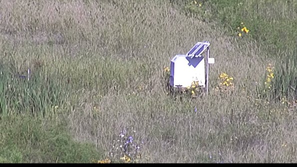 capture-4-23-08-13_09-05-48-12