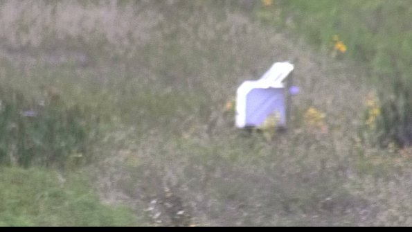 capture-4-23-08-13_13-41-18-84