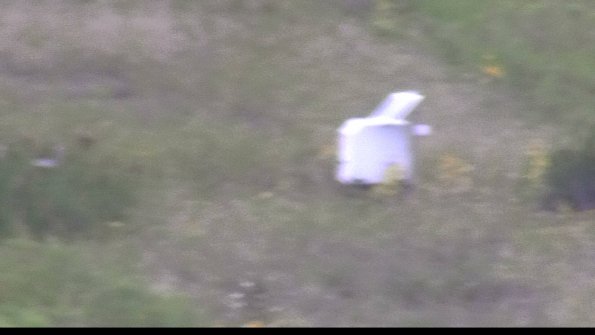 capture-4-23-08-13_14-09-18-55