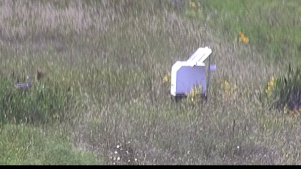 capture-4-23-08-13_14-54-31-28