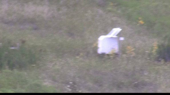 capture-4-23-08-13_15-00-32-05