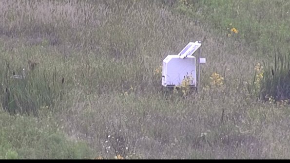 capture-4-23-08-13_17-14-31-75