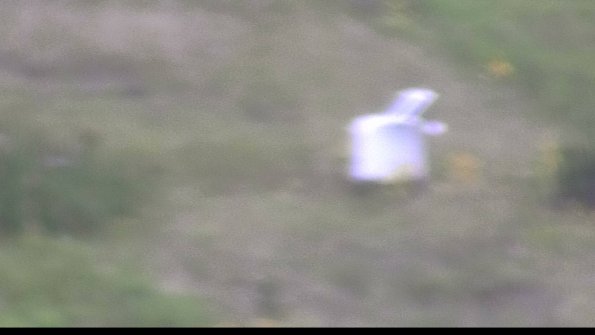 capture-4-23-08-13_19-32-30-89