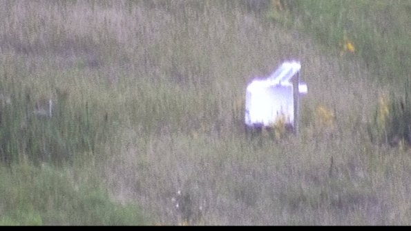 capture-4-23-08-13_20-44-32-12