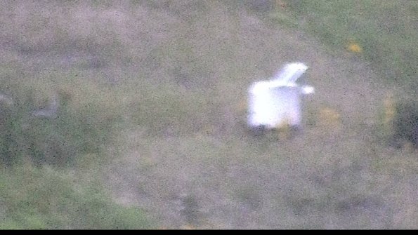 capture-4-23-08-13_20-52-32-00