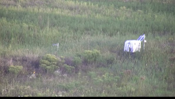 capture-5-23-08-13_07-18-01-69