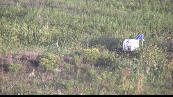 capture-5-23-08-13_07-24-01-62