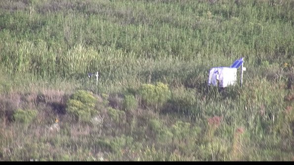 capture-5-23-08-13_07-26-01-38