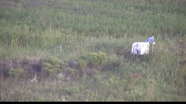 capture-5-23-08-13_07-34-02-46