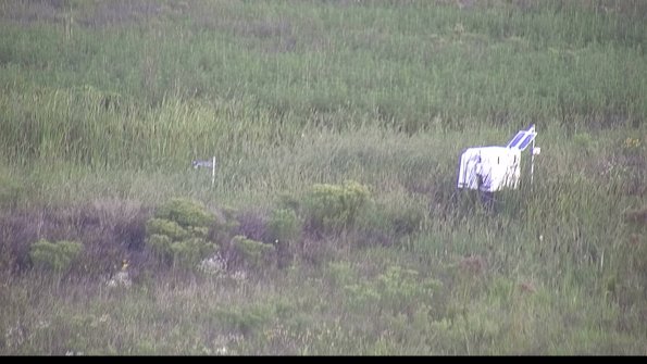 capture-5-23-08-13_07-36-01-51