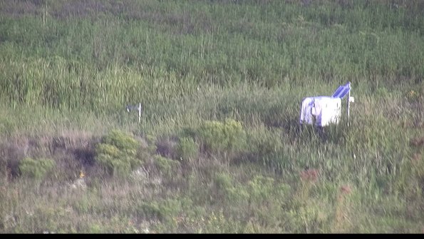 capture-5-23-08-13_07-40-01-69