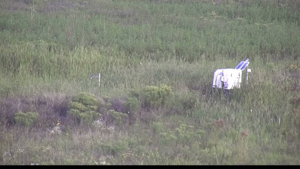 capture-5-23-08-13_07-48-02-40