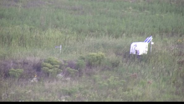 capture-5-23-08-13_07-50-01-46