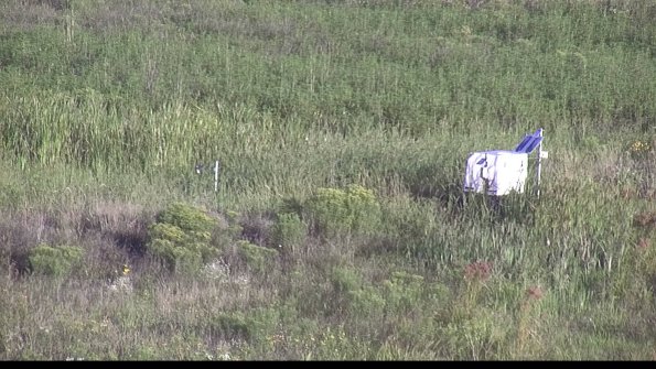 capture-5-23-08-13_07-52-01-84