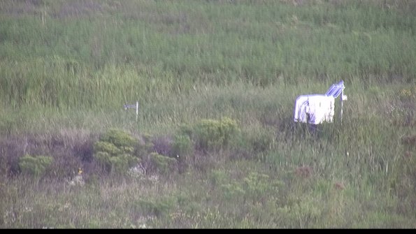 capture-5-23-08-13_07-54-01-66