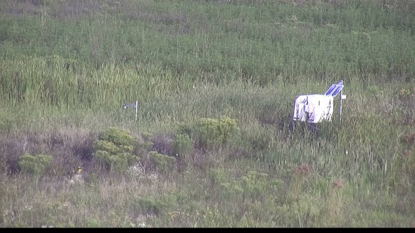 capture-5-23-08-13_08-00-02-39