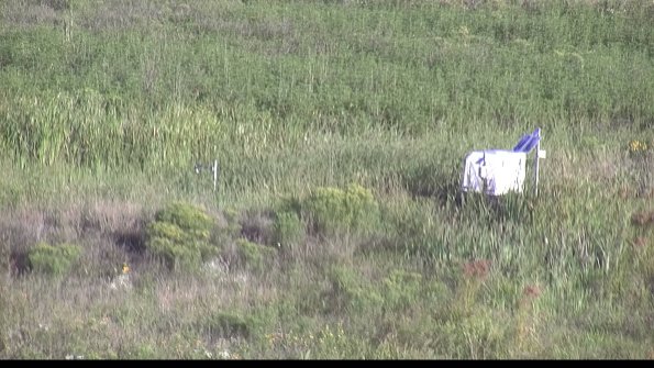 capture-5-23-08-13_08-02-01-41