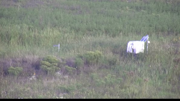 capture-5-23-08-13_08-04-01-43