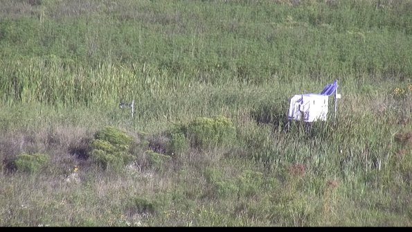 capture-5-23-08-13_08-18-01-88