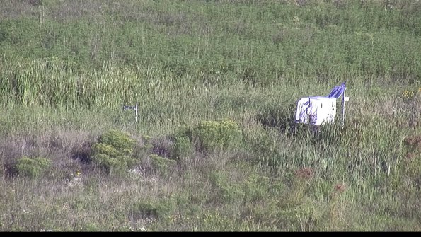 capture-5-23-08-13_08-20-01-97