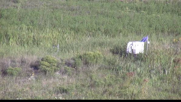 capture-5-23-08-13_08-22-01-55