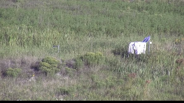 capture-5-23-08-13_08-26-02-36