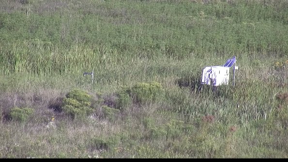 capture-5-23-08-13_08-28-02-28