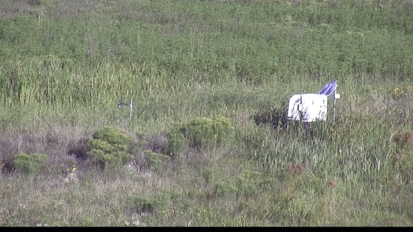 capture-5-23-08-13_08-38-02-28