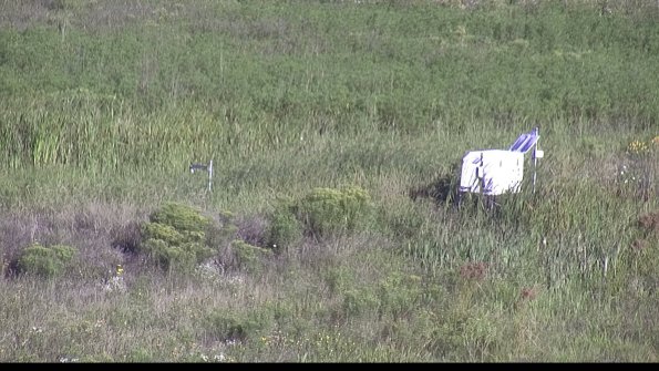 capture-5-23-08-13_08-50-01-97