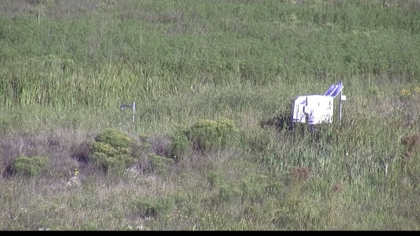 capture-5-23-08-13_08-54-02-01