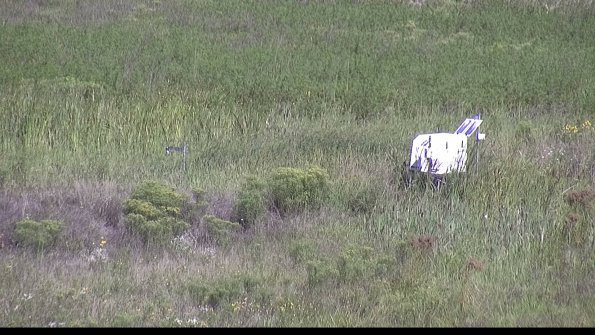 capture-5-23-08-13_10-16-02-63