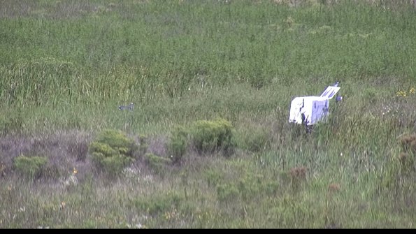 capture-5-23-08-13_12-19-32-71