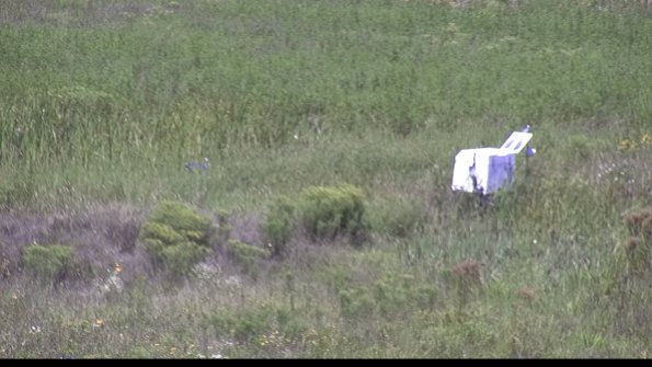 capture-5-23-08-13_12-35-33-14