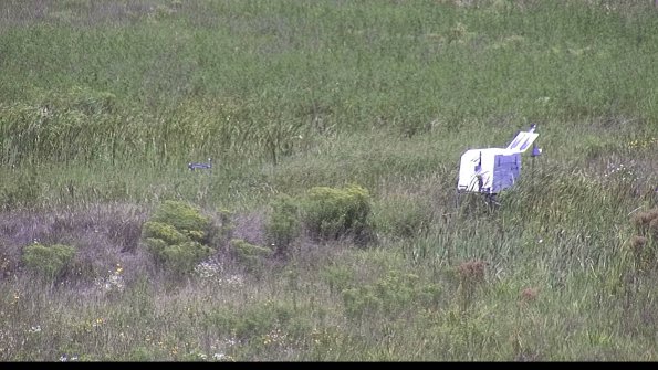 capture-5-23-08-13_12-43-34-06