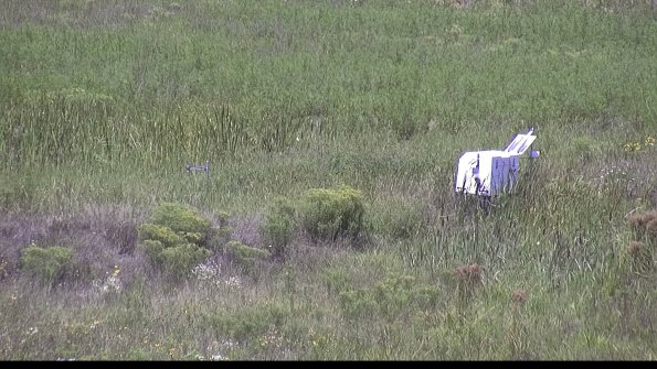 capture-5-23-08-13_12-53-33-66