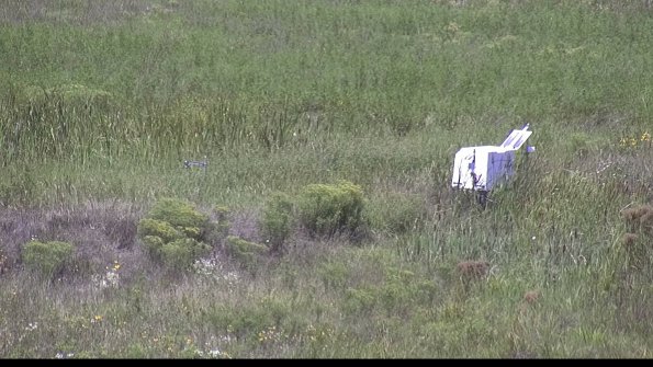 capture-5-23-08-13_12-55-33-68