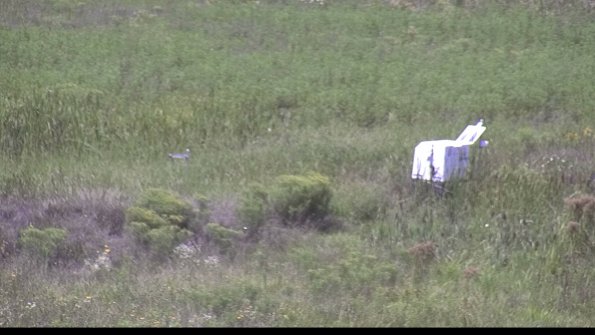 capture-5-23-08-13_14-03-33-94