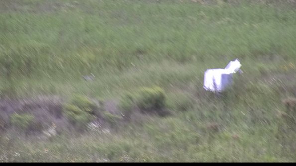 capture-5-23-08-13_14-15-33-03