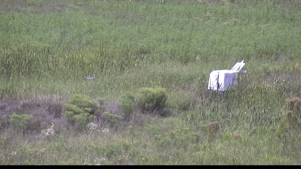 capture-5-23-08-13_14-20-44-78