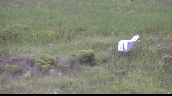 capture-5-23-08-13_14-28-45-79