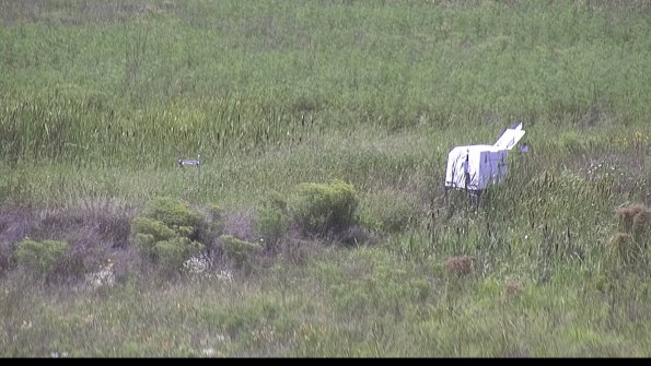 capture-5-23-08-13_15-16-45-77