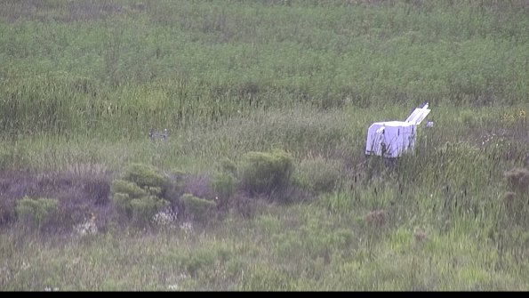 capture-5-23-08-13_16-56-45-76