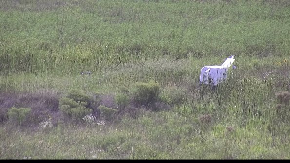 capture-5-23-08-13_16-58-45-84