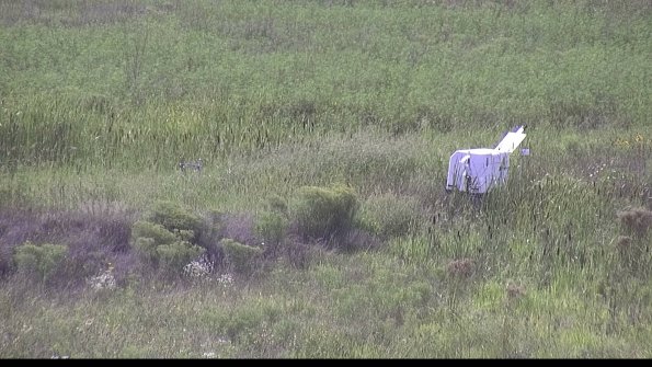 capture-5-23-08-13_17-00-45-96