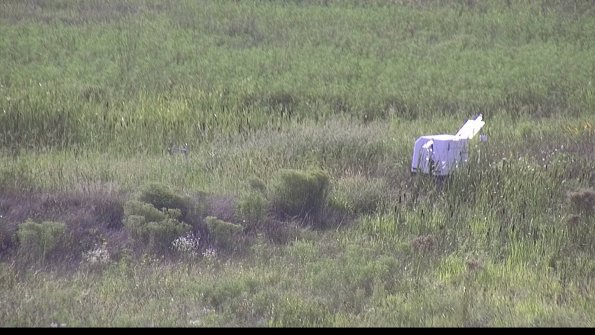 capture-5-23-08-13_18-12-45-49