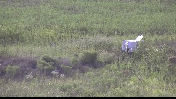 capture-5-23-08-13_18-14-45-68